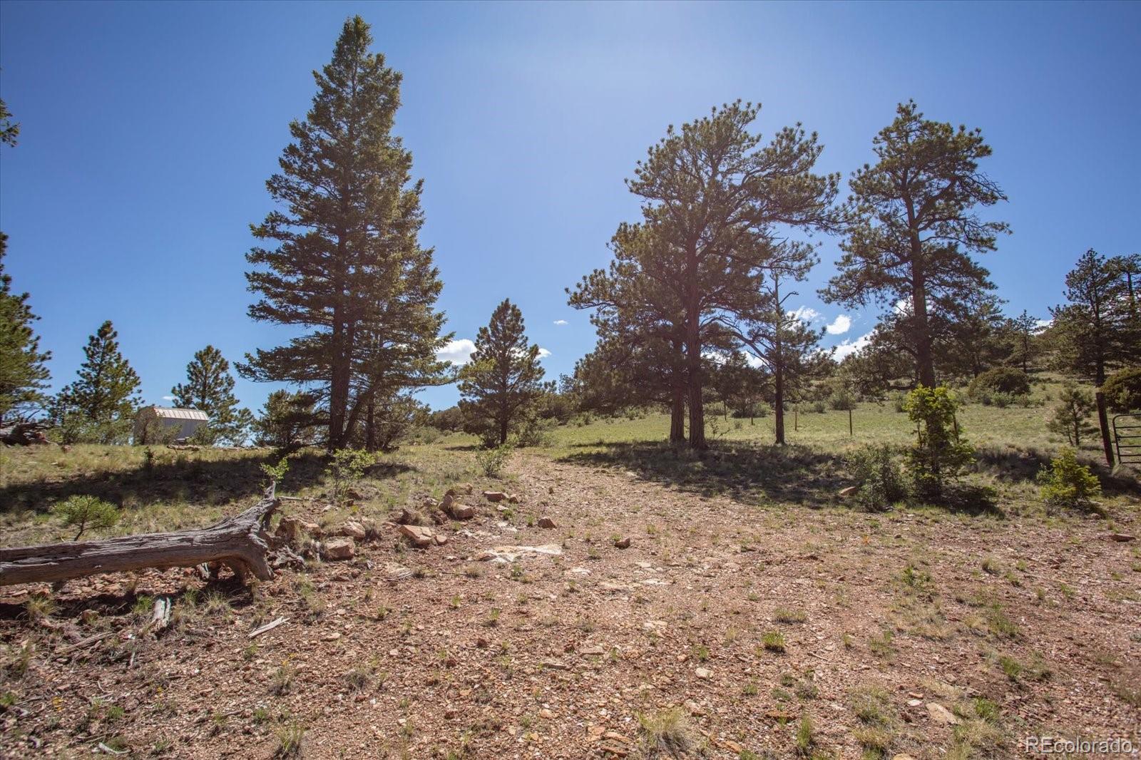 Castle Rock Road Hartsel, CO 80449 - Photo 8 of 45 Gallery Image 8
