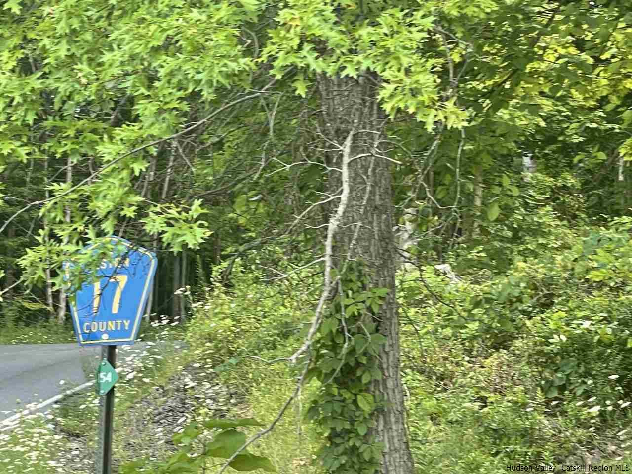 Tba Horsenden Road New Paltz, NY 12561 - Photo 11 of 11 Photo 11