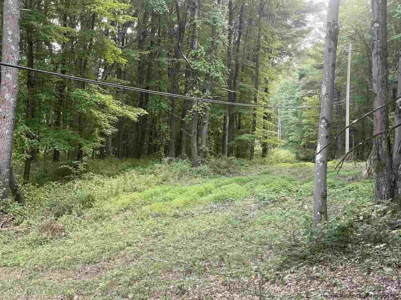 Tba Horsenden Road New Paltz, NY 12561 - Photo 2 of 11 Photo 2