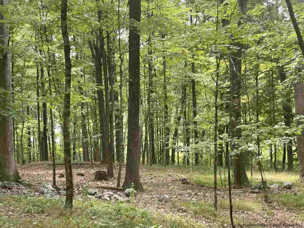 Tba Horsenden Road New Paltz, NY 12561 - Photo 3 of 11 Photo 3