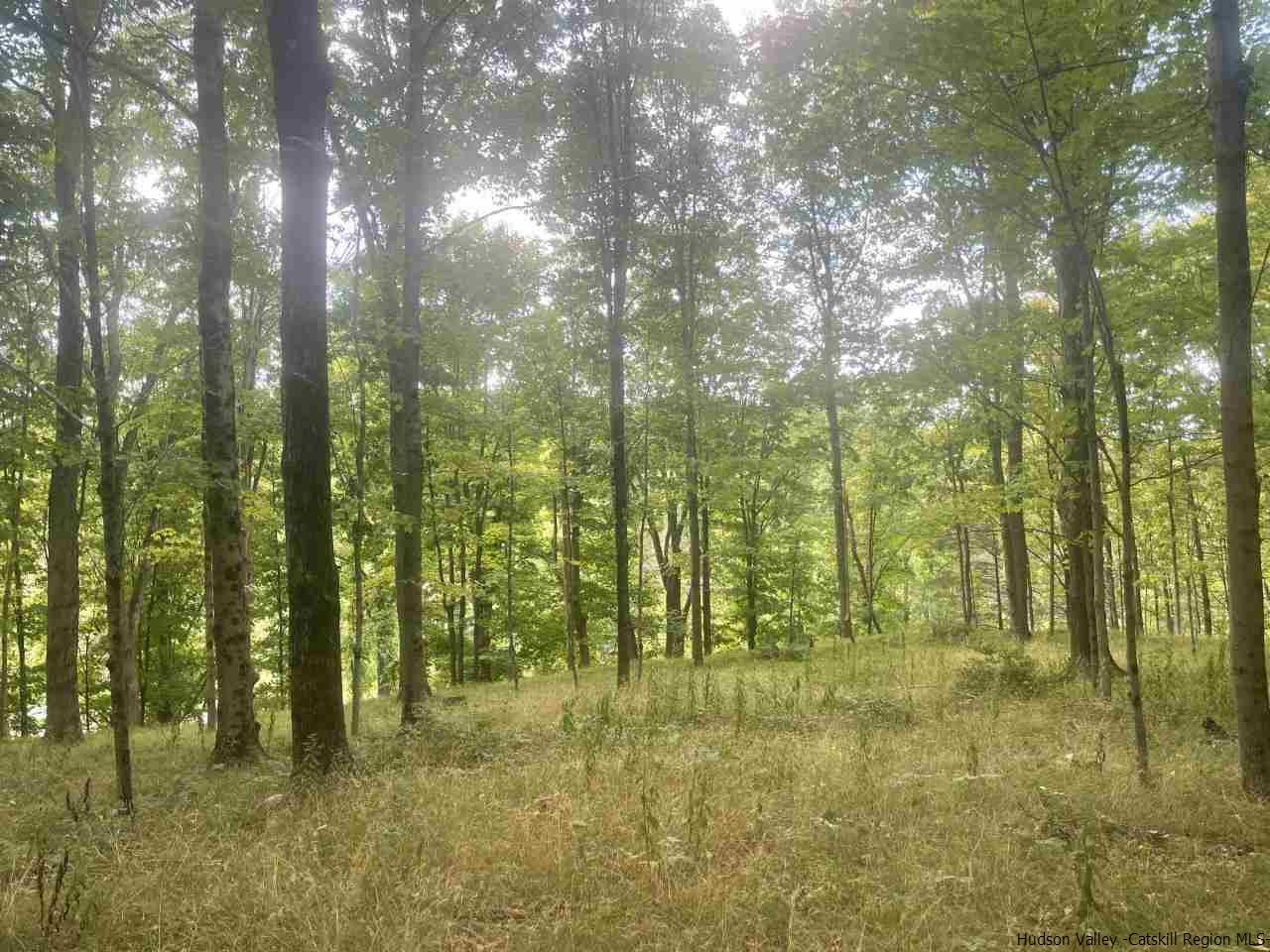 Tba Horsenden Road New Paltz, NY 12561 - Photo 4 of 11 Photo 4
