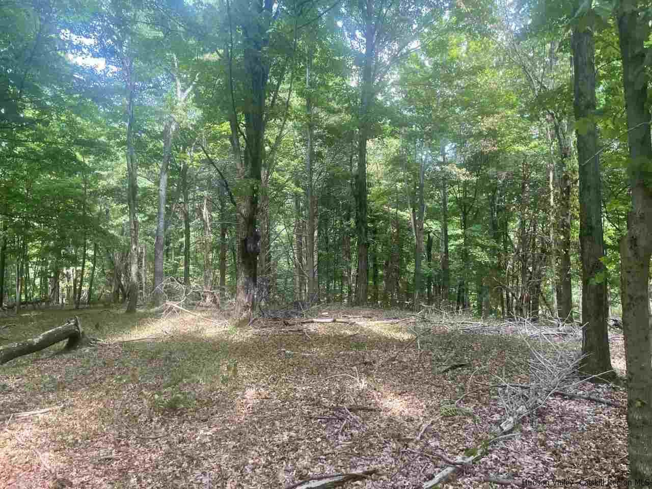 Tba Horsenden Road New Paltz, NY 12561 - Photo 5 of 11 Photo 5