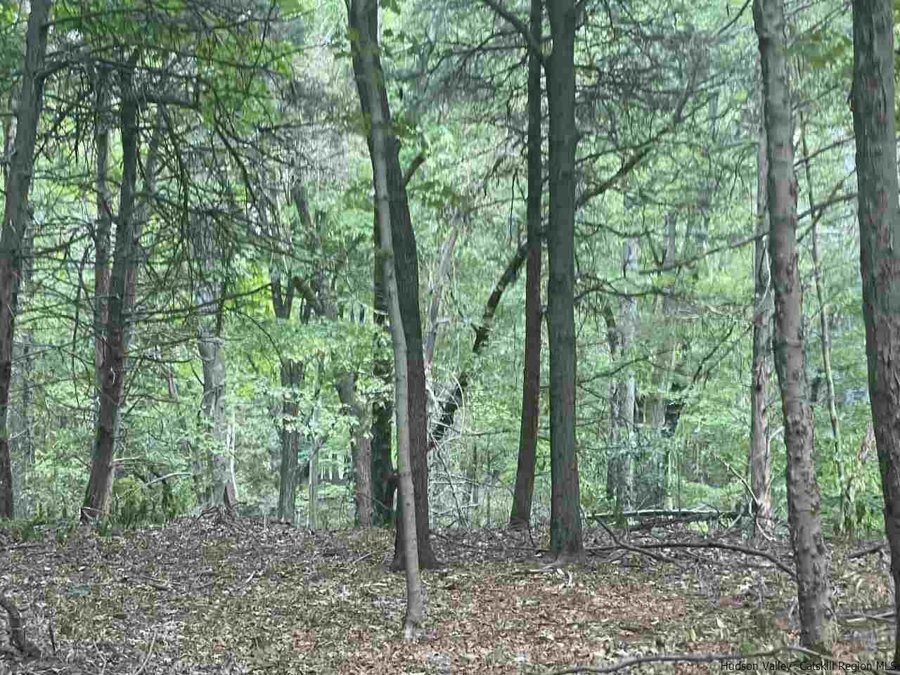 Tba Horsenden Road New Paltz, NY 12561 - Photo 6 of 11 Photo 6
