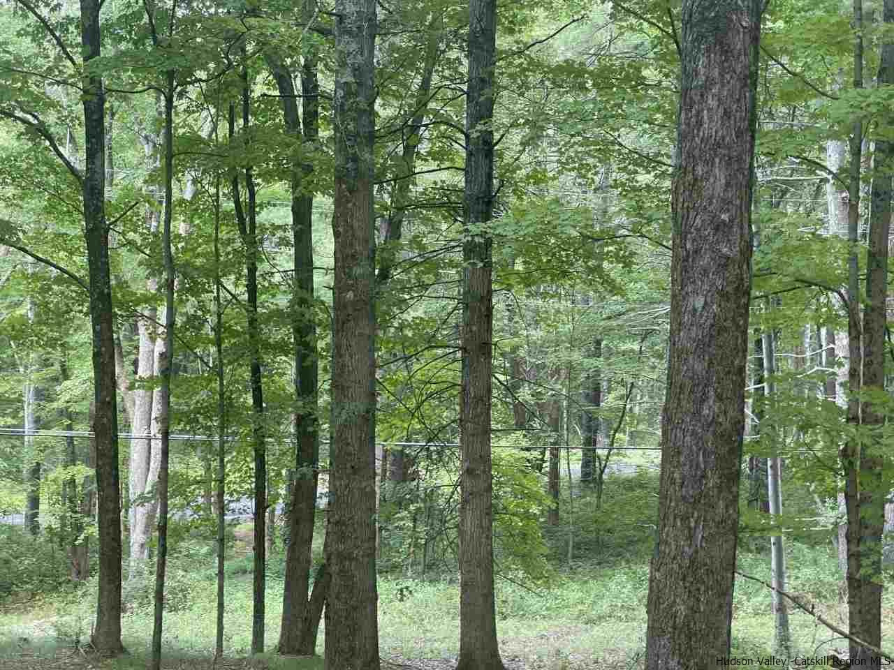 Tba Horsenden Road New Paltz, NY 12561 - Photo 7 of 11 Photo 7