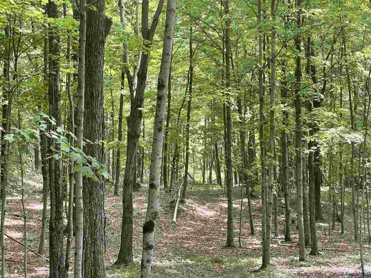Tba Horsenden Road New Paltz, NY 12561 - Photo 8 of 11 Photo 8