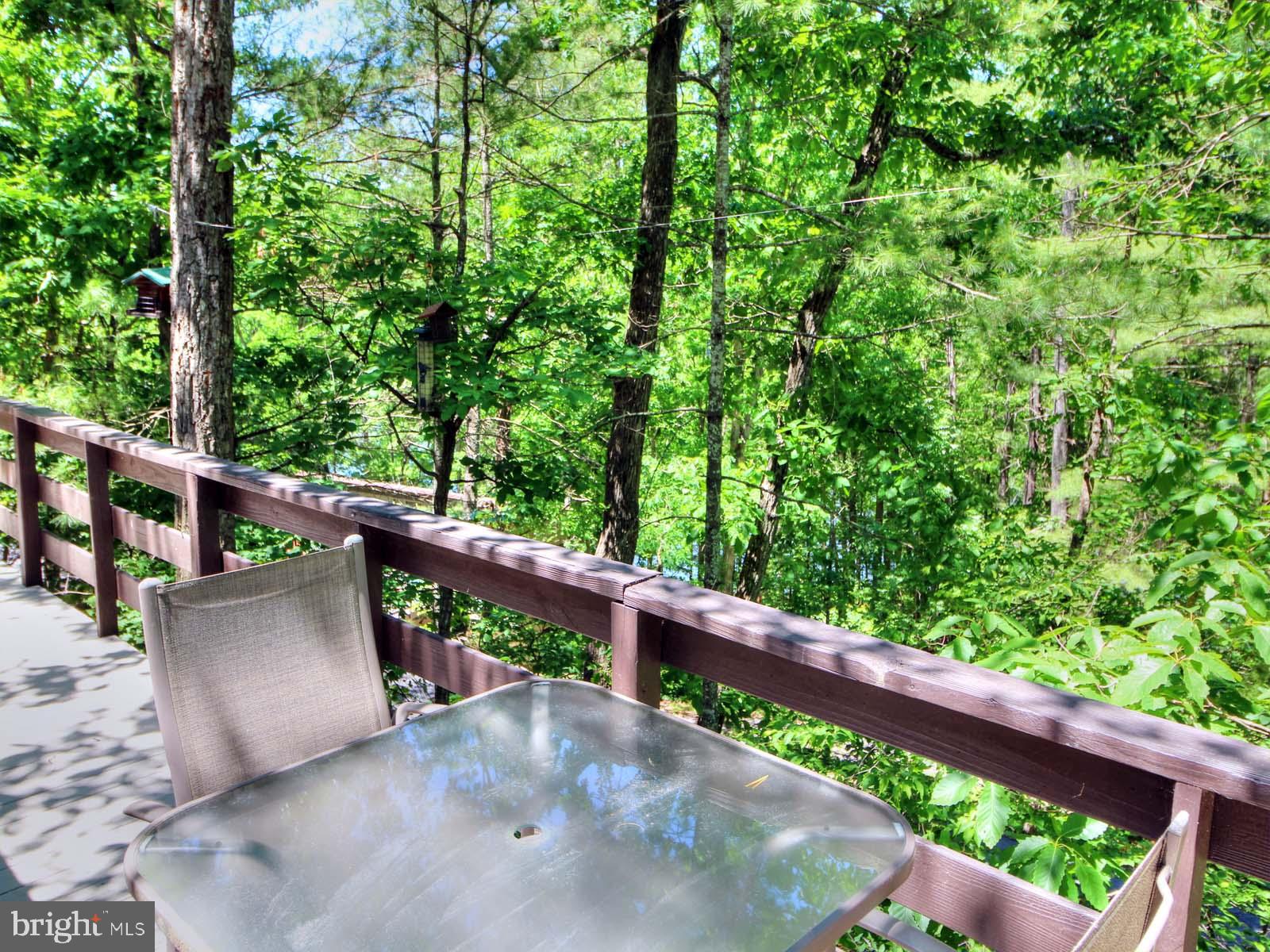159 Richmon Road Basye, VA 22842 - Photo 23 of 41