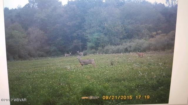 1843 Exchange Road Muncy, PA 17756 - Photo 21 of 25 this property