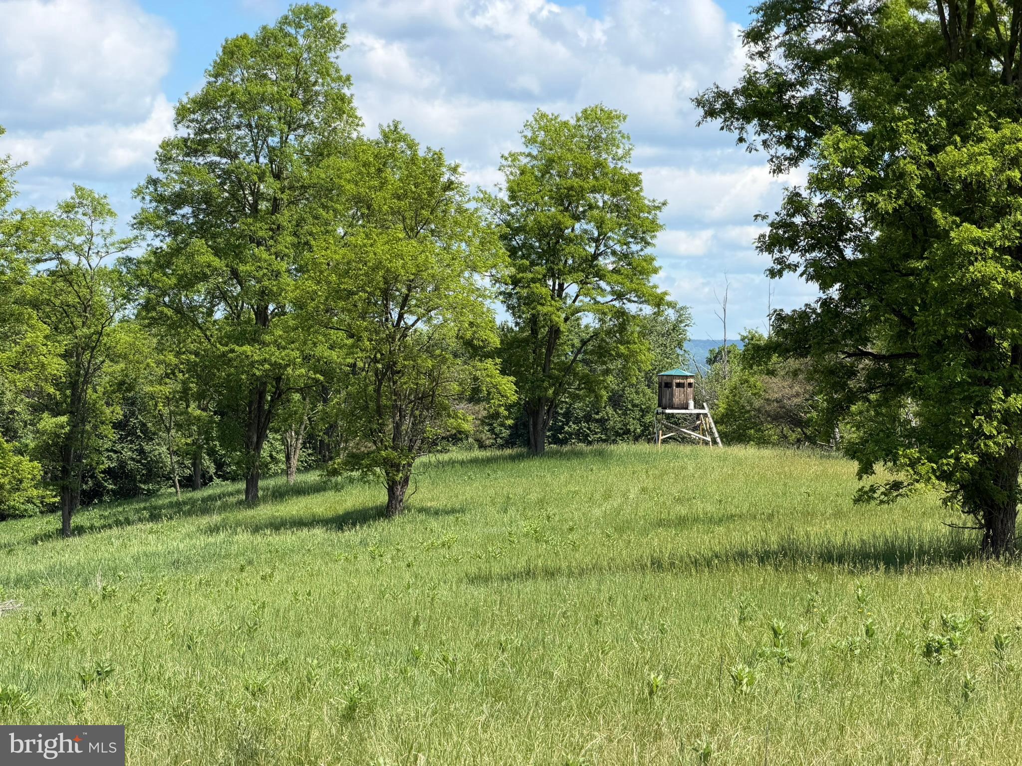 848 Sugar Camp Road Clearfield, PA 16830 - Photo 52 of 118