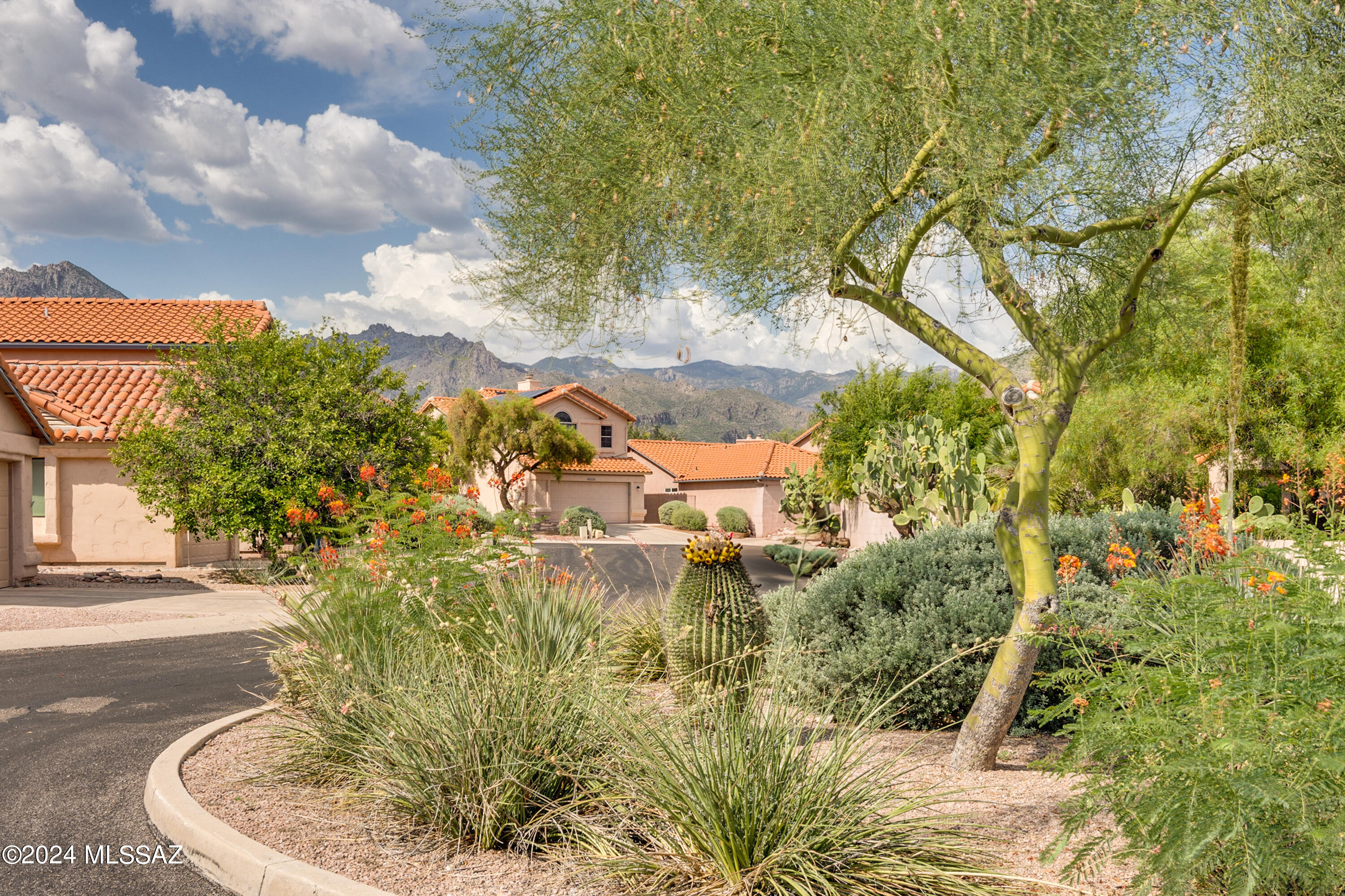 5259 North Mountain Terrace Road Tucson, AZ 85750 - Photo 36 of 38