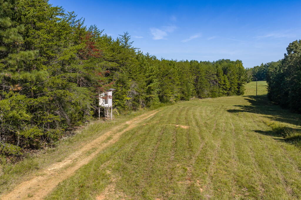 Lees Mill Road, Unit 3 Chase City, VA 23924 - Photo 47 of 64 Gallery Image 47