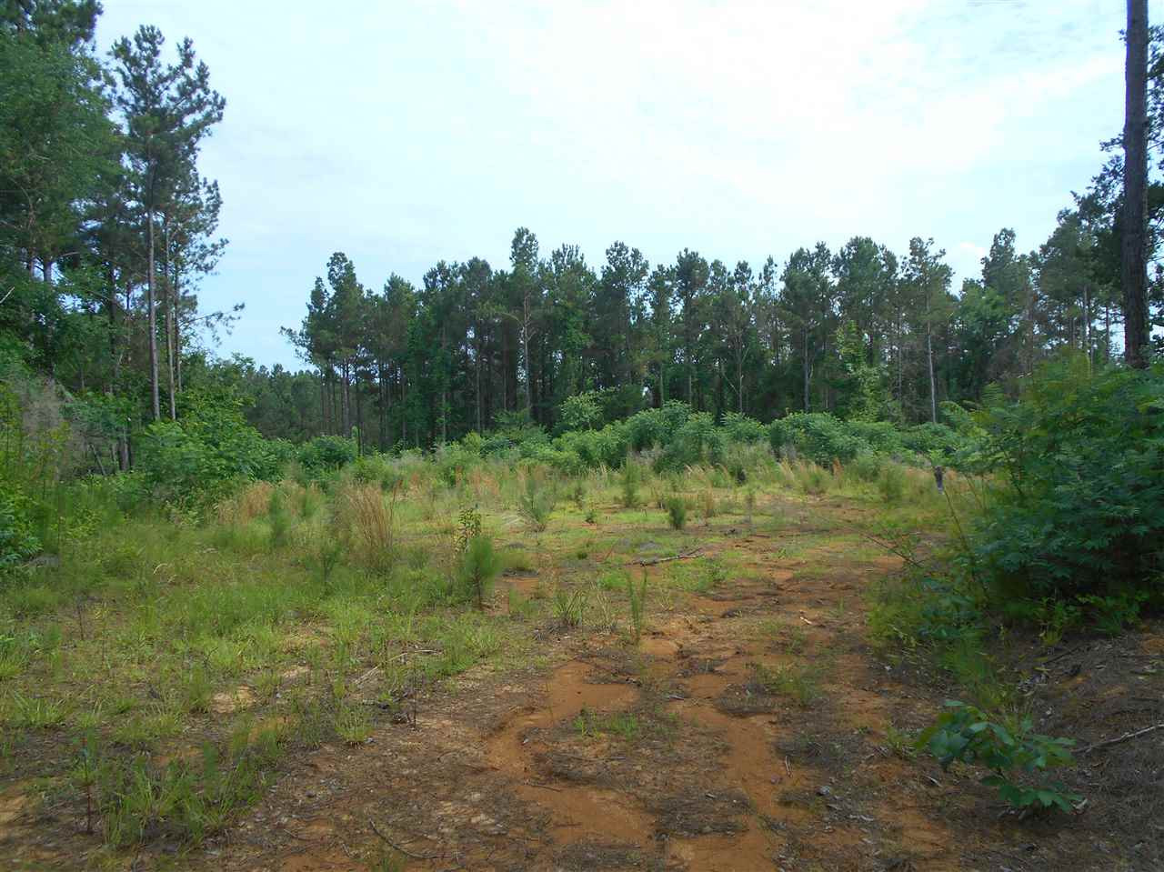 0 Hendrix Road Coffeeville, MS 38922 - Photo 16 of 29 Photo 16