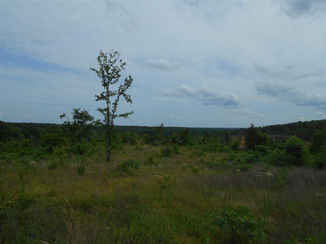 0 Hendrix Road Coffeeville, MS 38922 - Photo 24 of 29 Photo 24