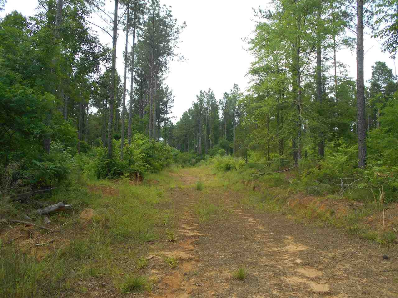 0 Hendrix Road Coffeeville, MS 38922 - Photo 8 of 29 Photo 8