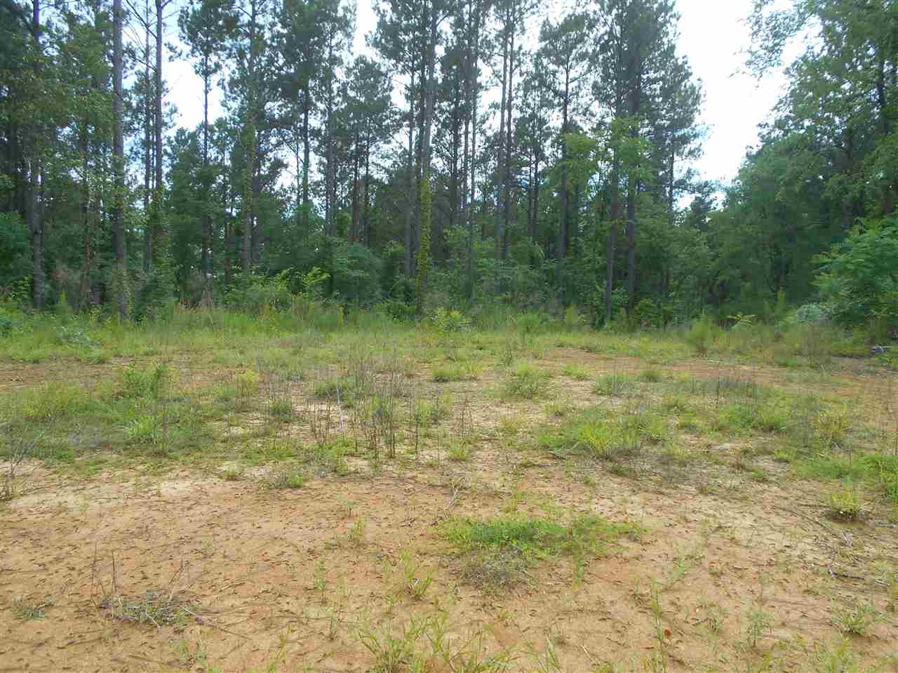 0 Hendrix Road Coffeeville, MS 38922 - Photo 9 of 29 Photo 9