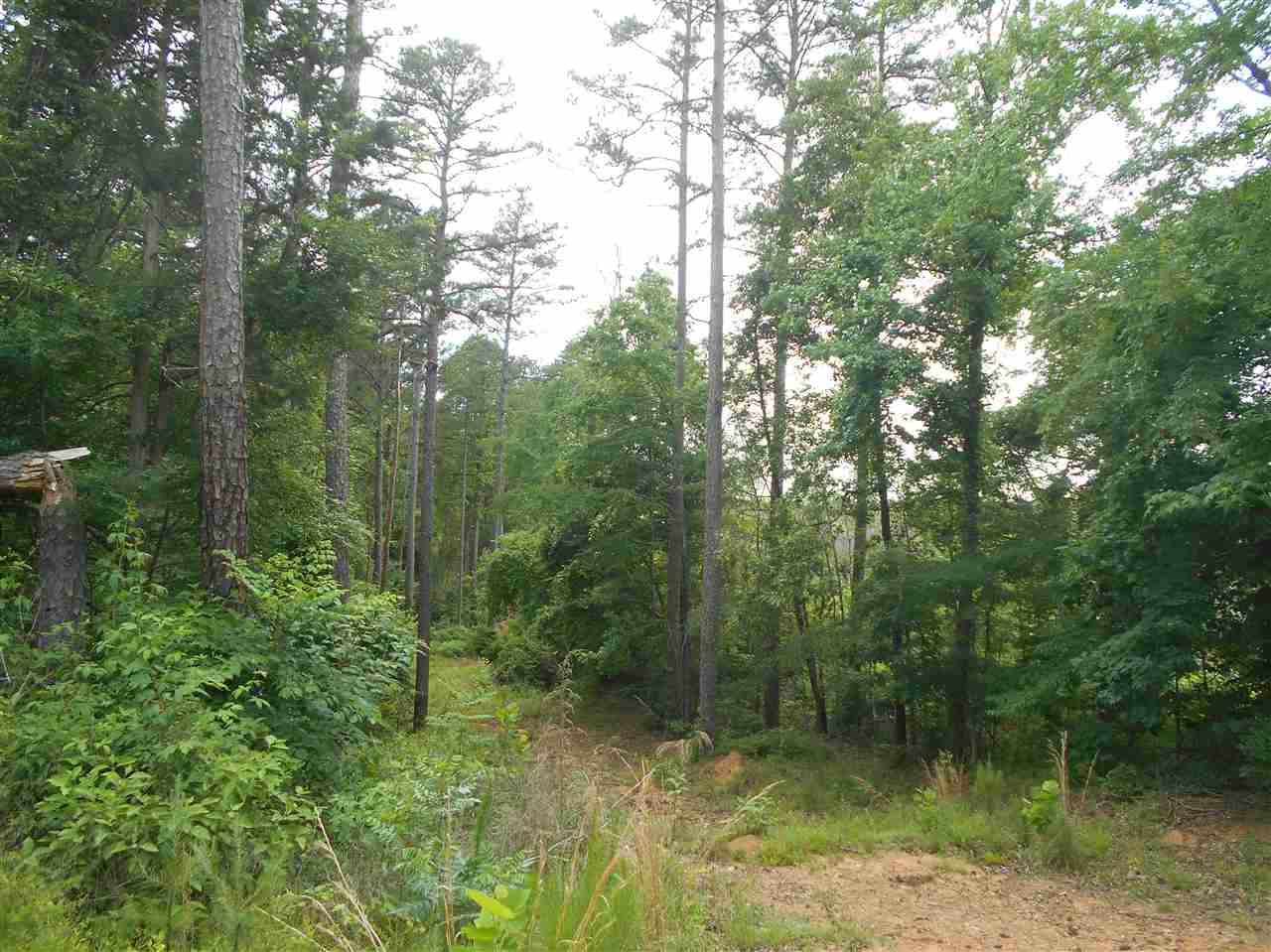 0 Hendrix Road Coffeeville, MS 38922 - Photo 10 of 29 Photo 10