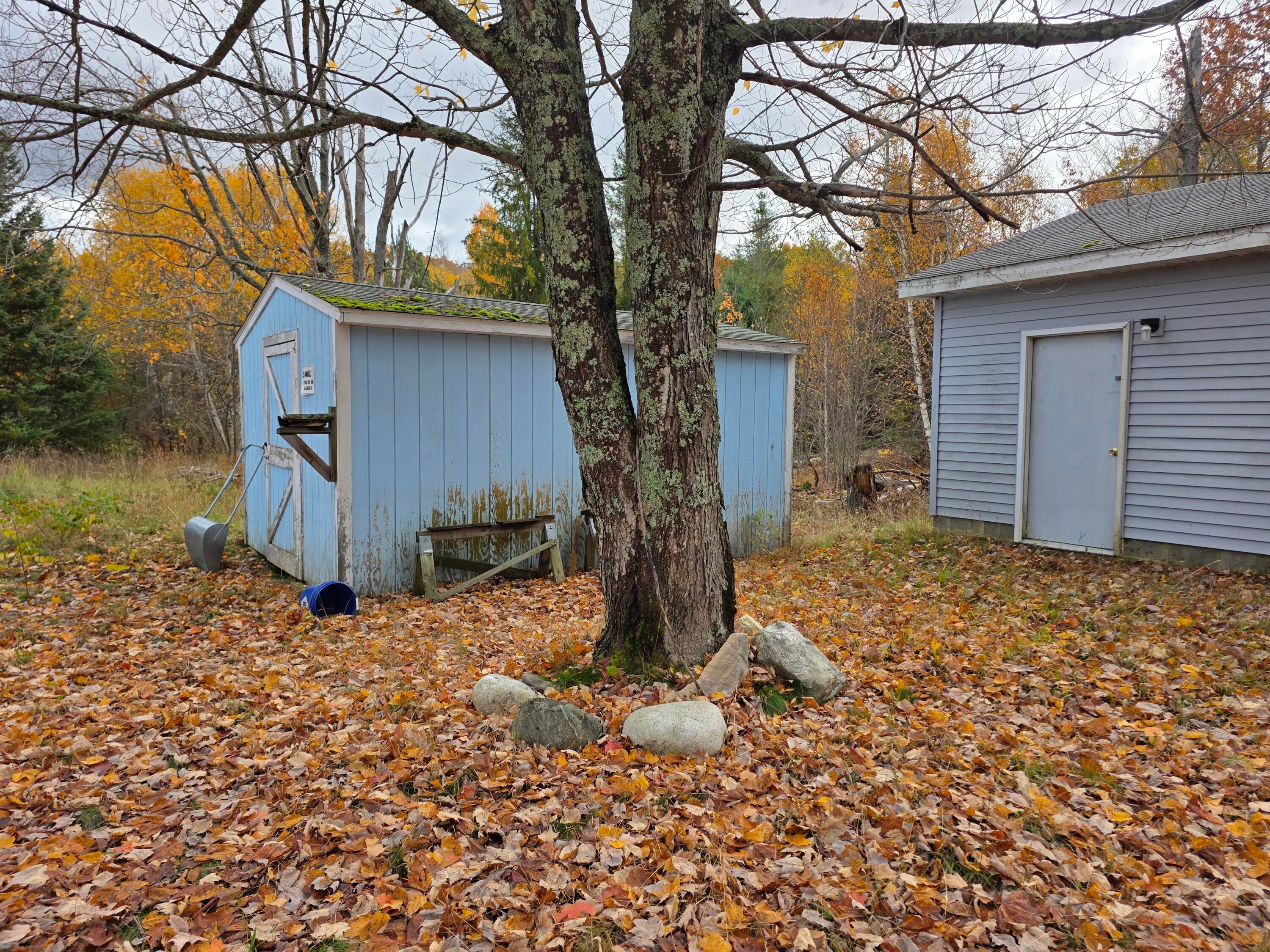4825 South Ranger Road Brimley, MI 49715 - Photo 6 of 14 Gallery Image 6