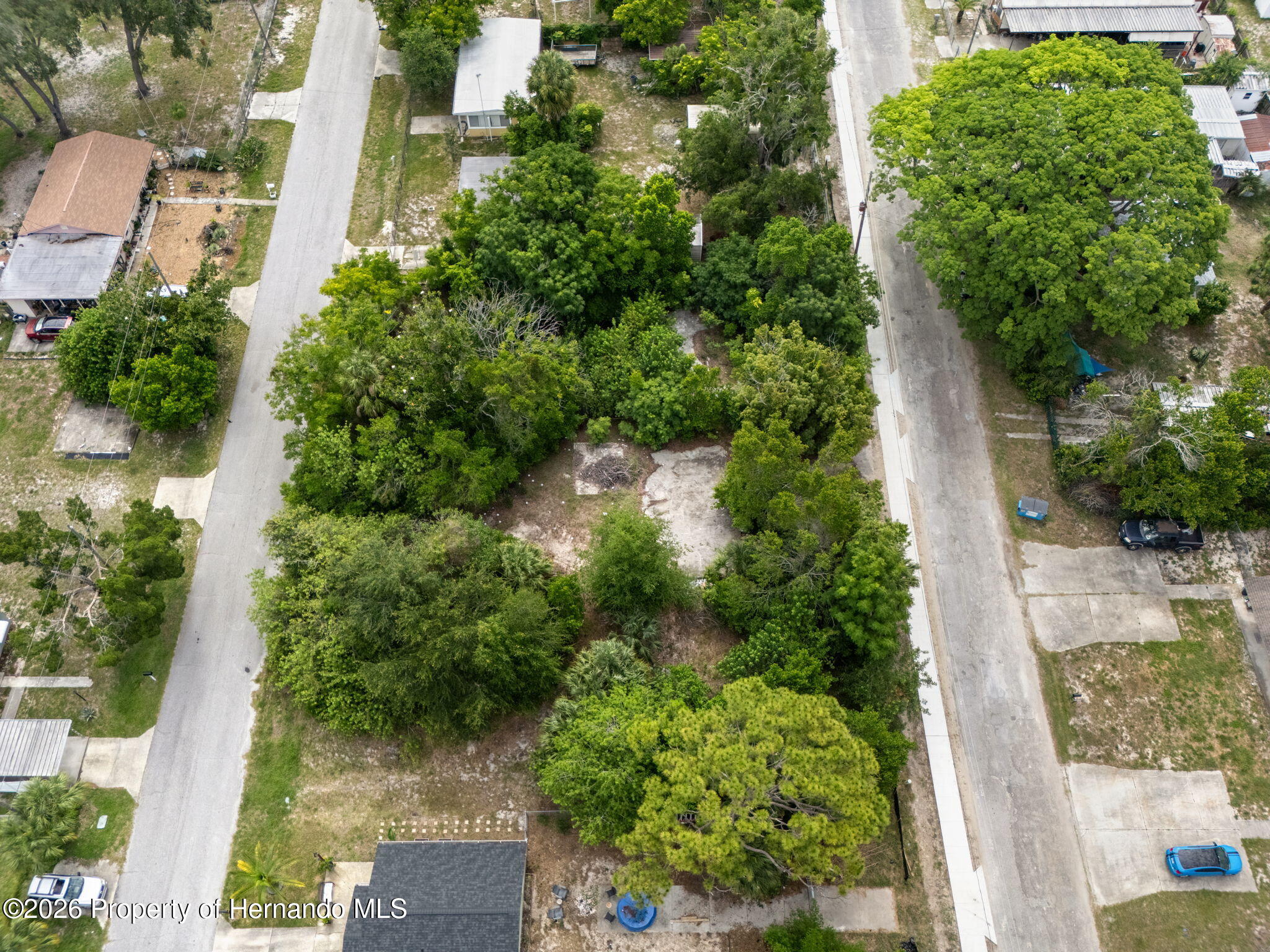 7039 Johnson Road Port Richey, FL 34668 - Photo 7 of 20