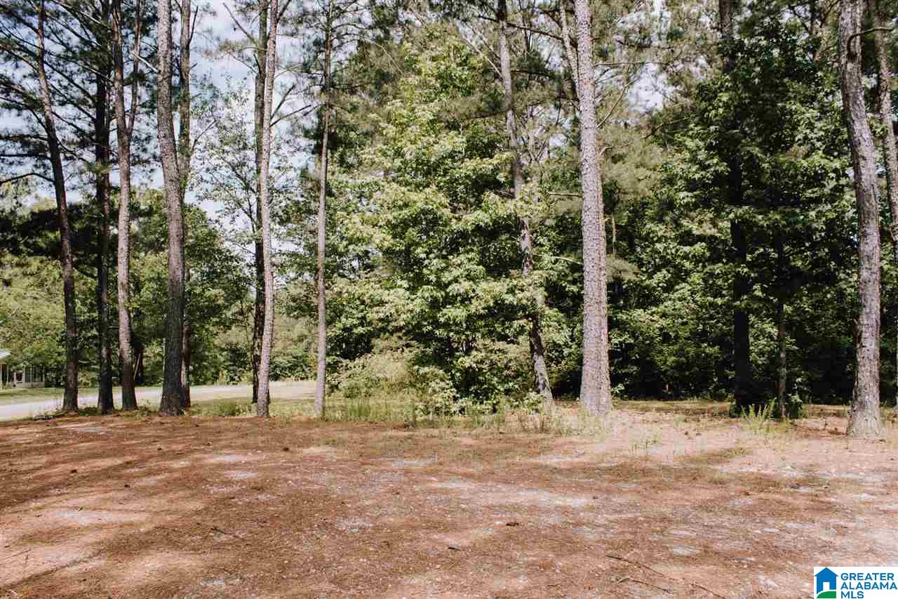 65 Mountainview Road Wellington, AL 36279 - Photo 37 of 37