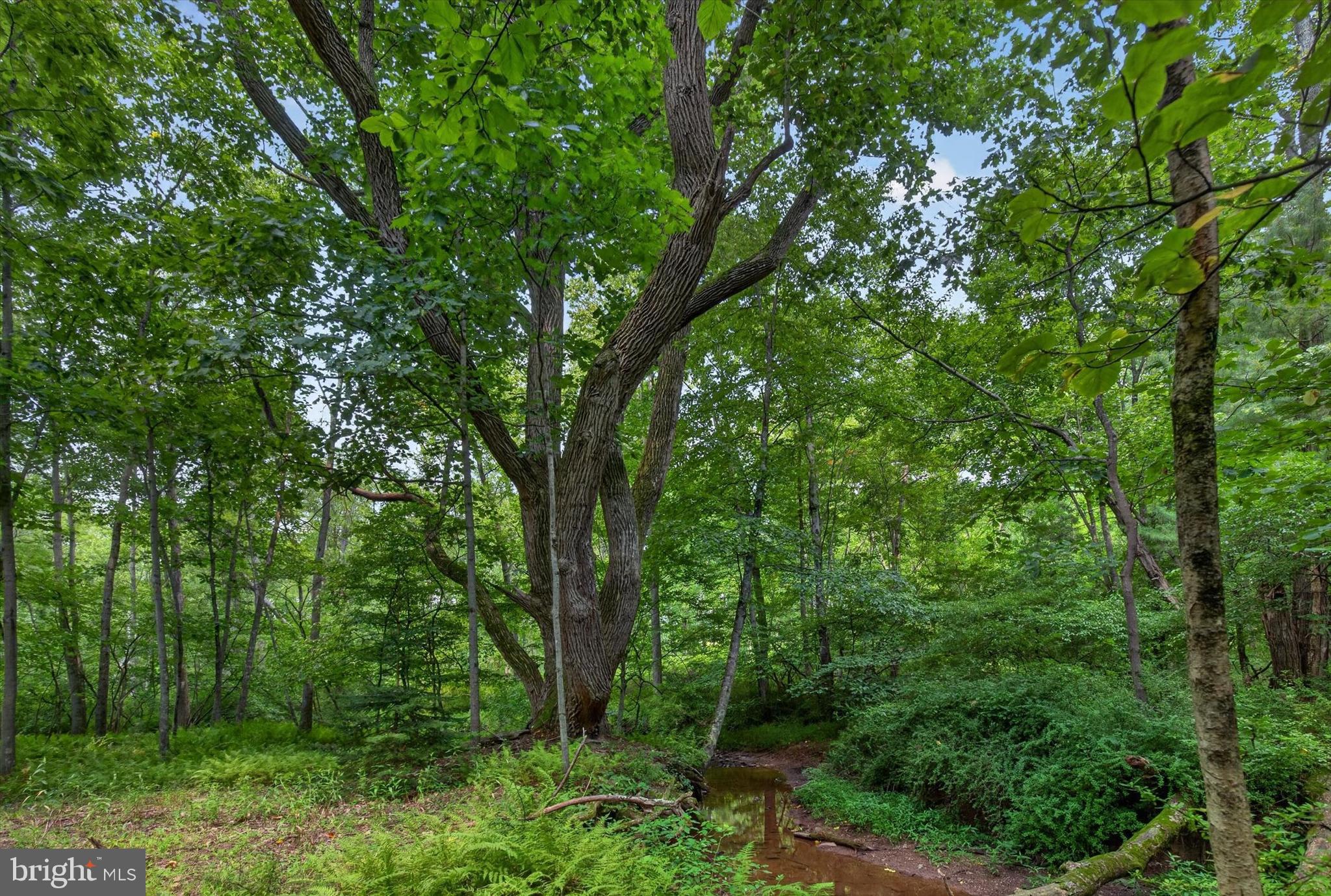 4144 Back Road Halifax, PA 17032 - Photo 15 of 31 Gallery Image 15