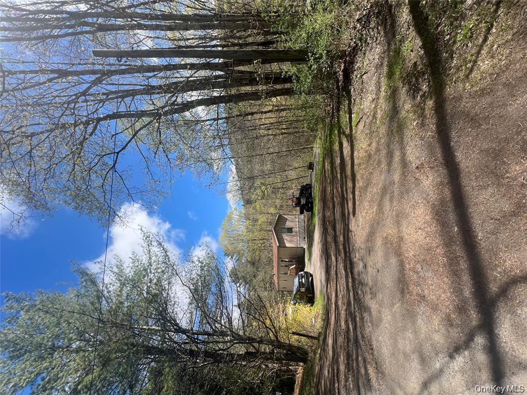 1042 Huntley Hollow Road Delancey, NY 13752 - Photo 1 of 1 a view of a yard with yellow house