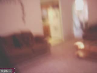 47 Grapevine Road Levittown, PA 19057 - Photo 5 of 5