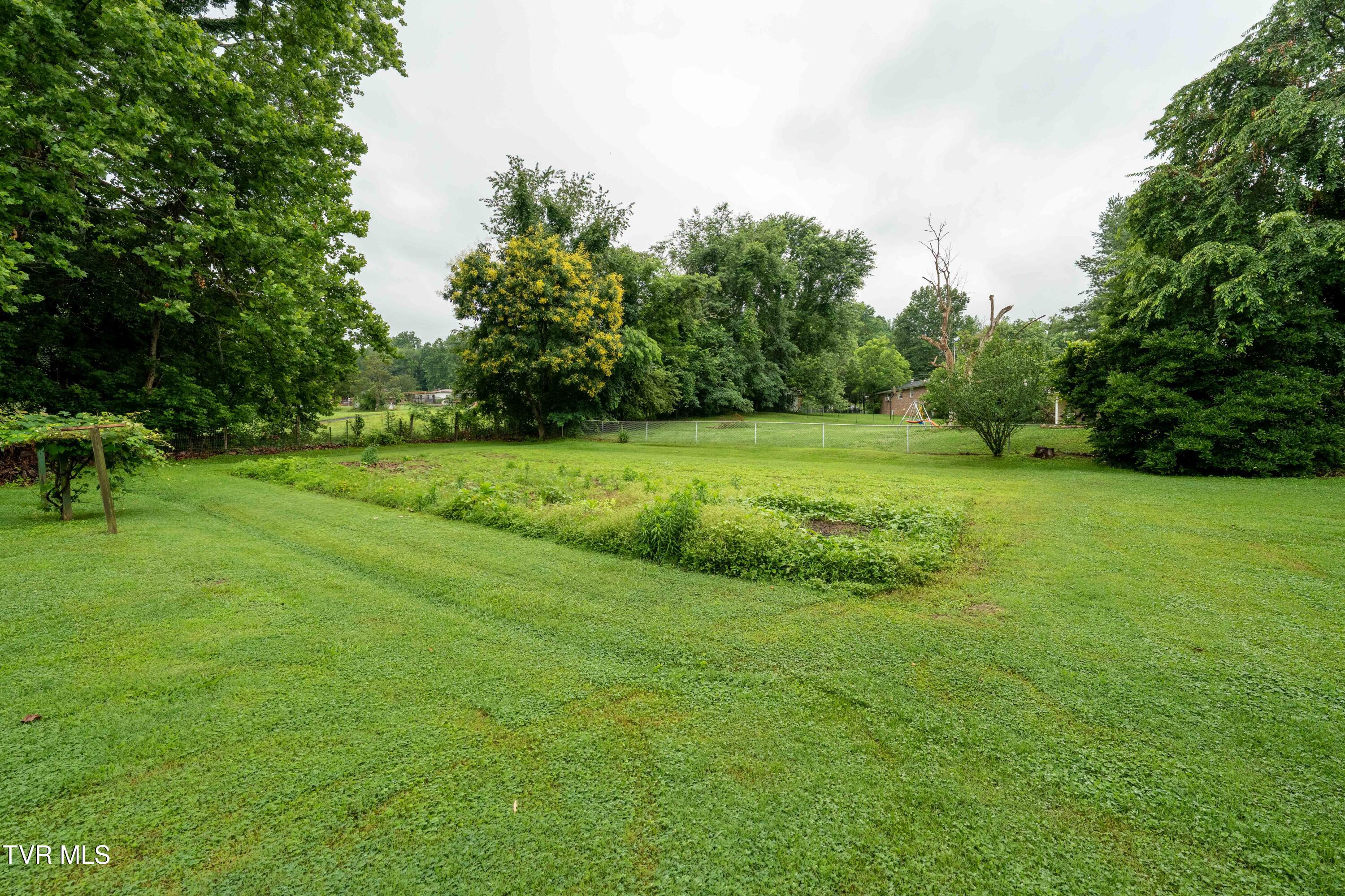 300 Shannon View Road Gray, TN 37615 - Photo 21 of 45 300 Shannon View Rd (19 of 48)