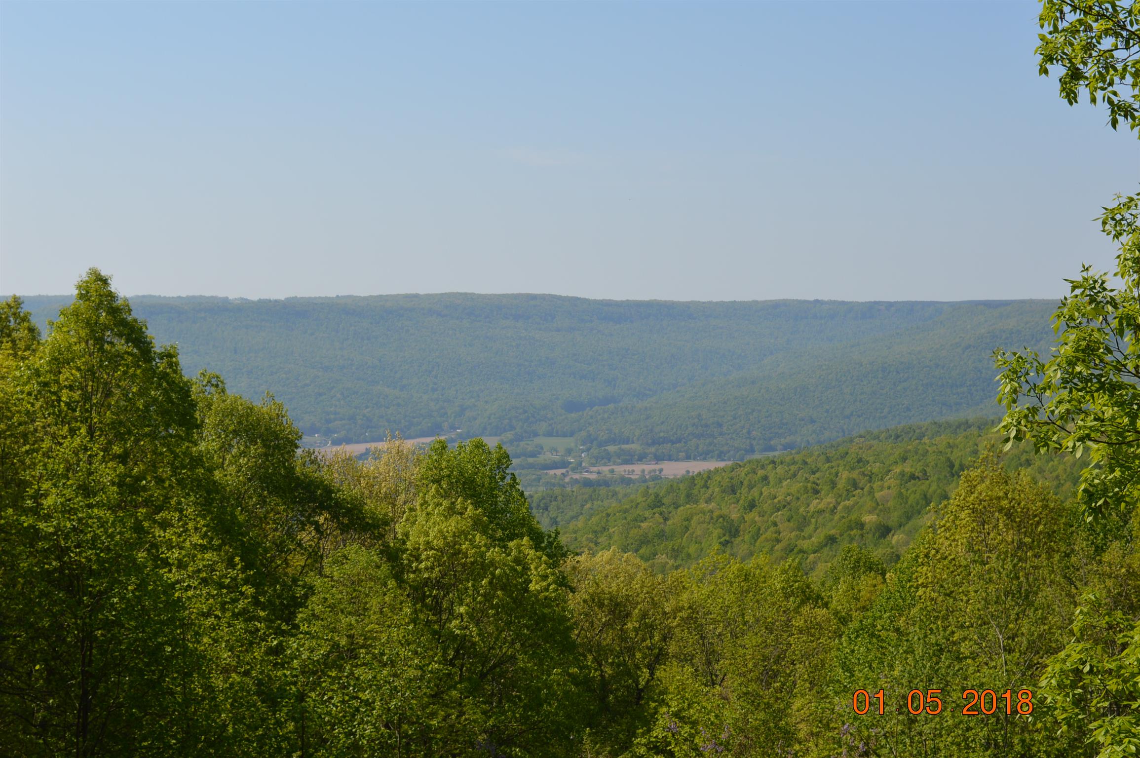 146 Jackson Point Road Sewanee, TN 37375 - Photo 2 of 18 Gallery Image 2