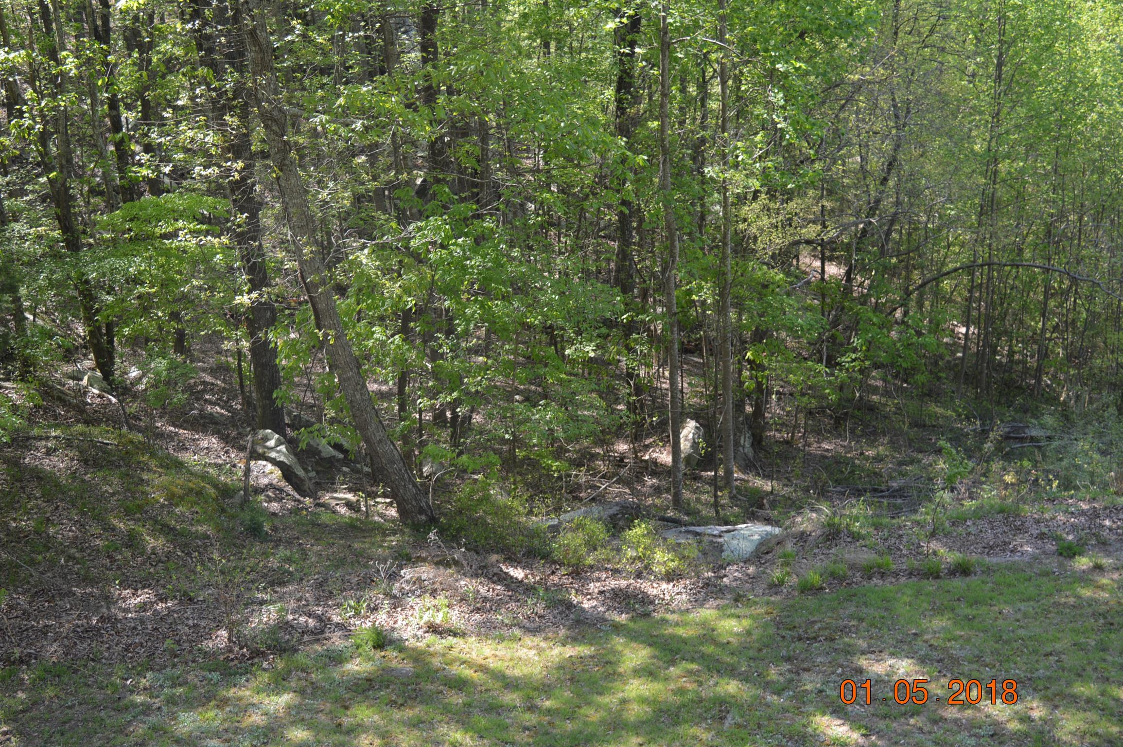 146 Jackson Point Road Sewanee, TN 37375 - Photo 17 of 18 Gallery Image 17