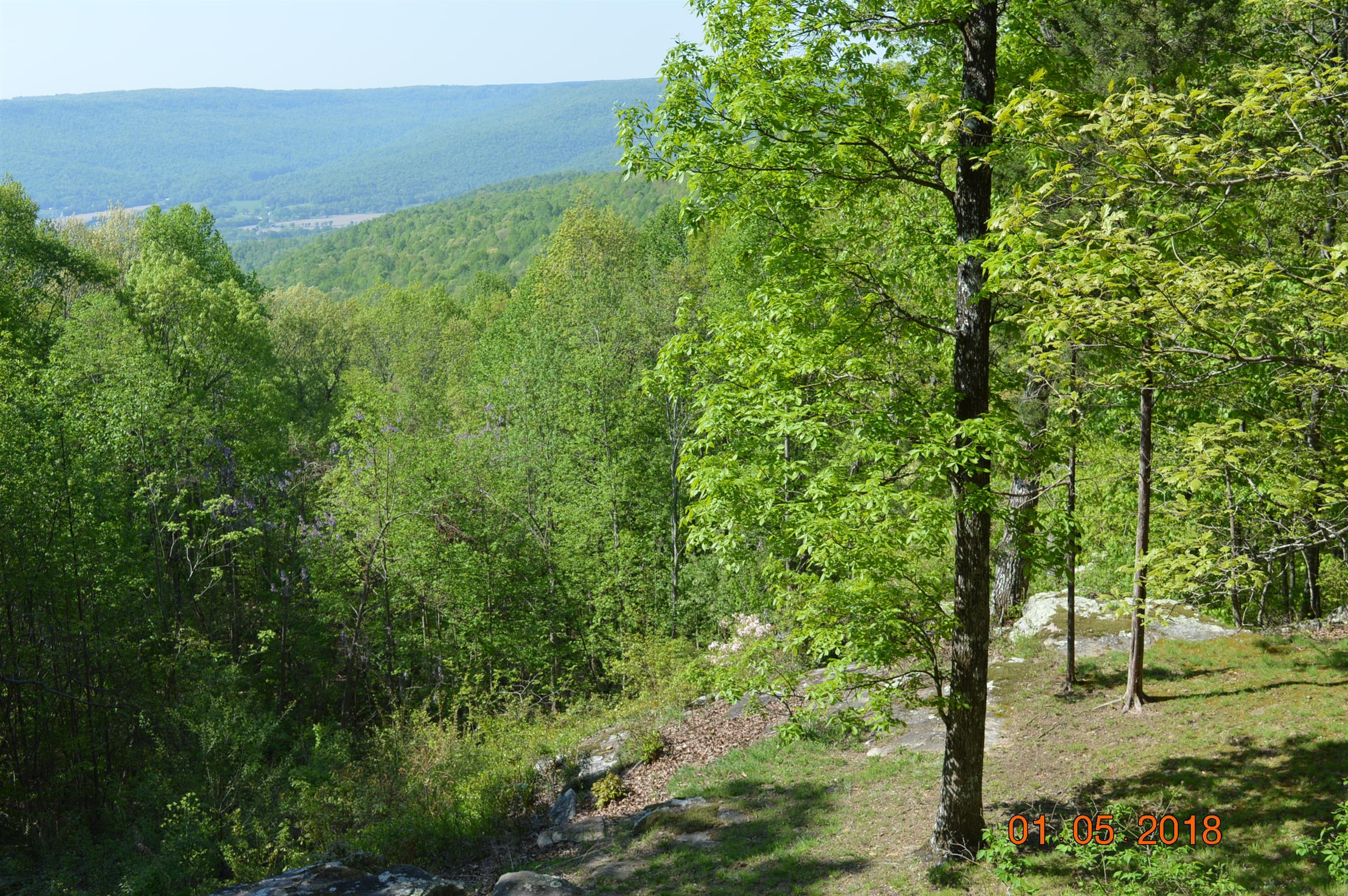 146 Jackson Point Road Sewanee, TN 37375 - Photo 18 of 18 Gallery Image 18
