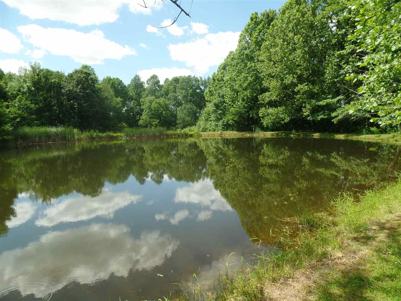 336 Harvest Church Road Newberry, IN 47449 - Photo 2 of 20