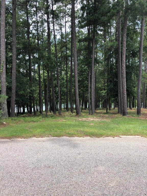213 Daly Place McCormick, SC 29835 - Photo 5 of 13 Gallery Image 5