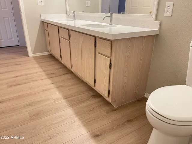 a bathroom with a sink and a toilet