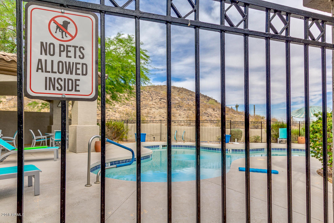 3236 East Chandler Boulevard, Unit 2093 Phoenix, AZ 85048 - Photo 25 of 28