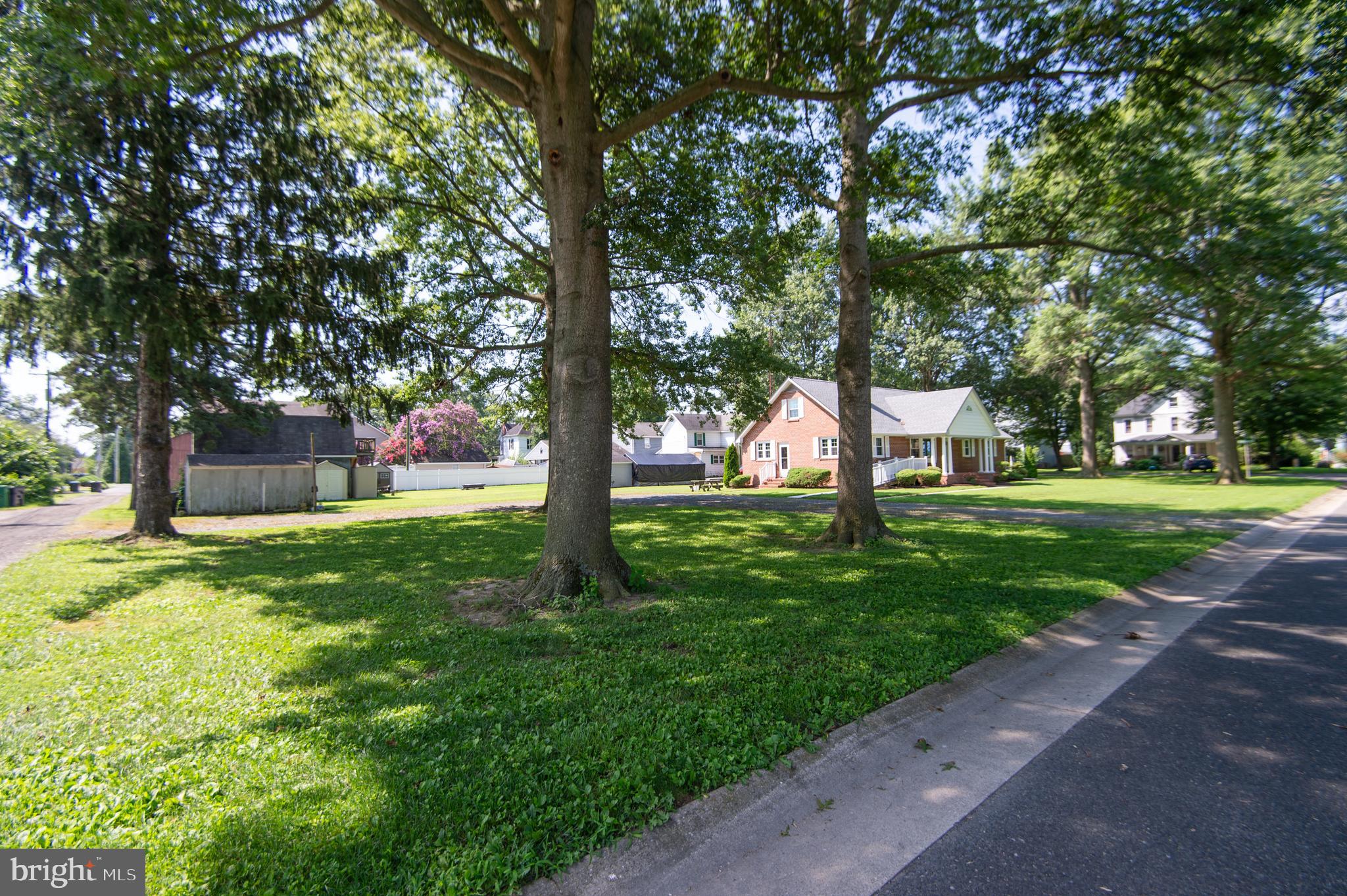 8 West Liberty Street Ridgely, MD 21660 - Photo 45 of 55 a view of a park with tree s