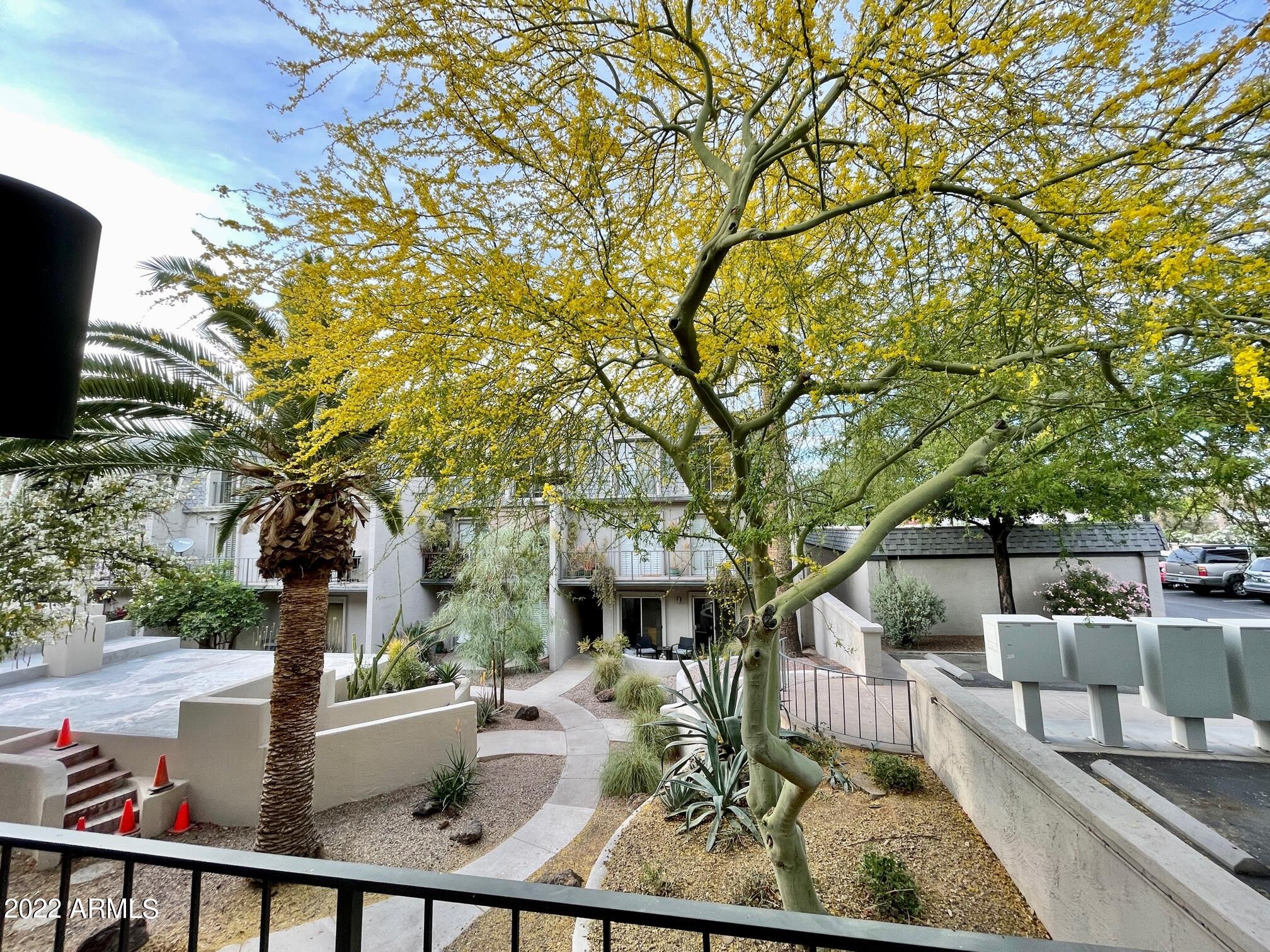 1012 East Osborn Road, Unit D Phoenix, AZ 85014 - Photo 3 of 28 IMG_2564