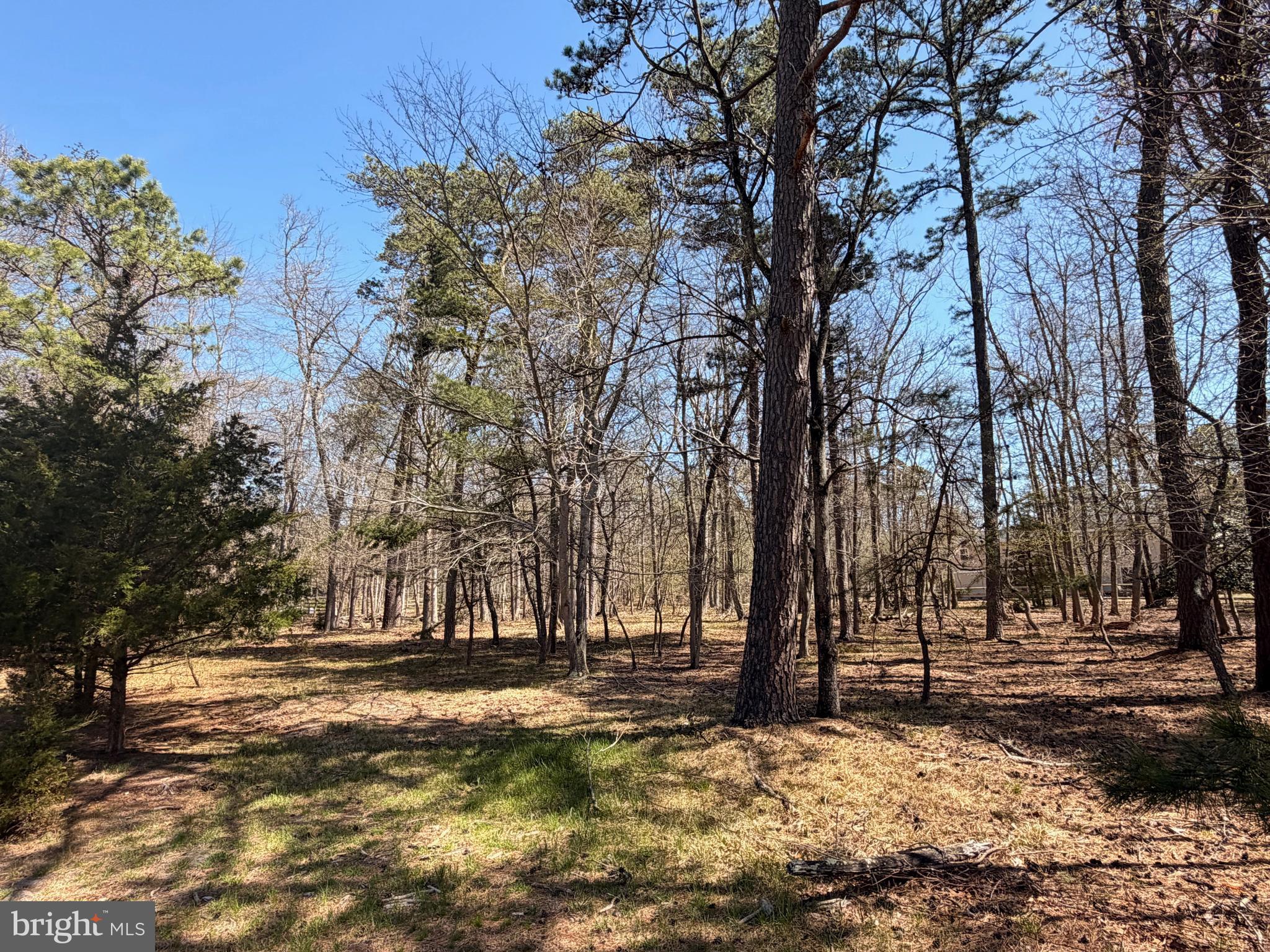 579 Tabernacle Road Medford, NJ 08055 - Photo 18 of 52