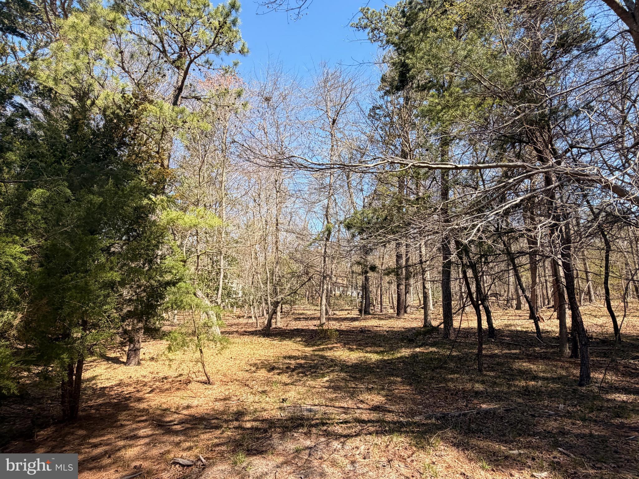 579 Tabernacle Road Medford, NJ 08055 - Photo 19 of 52