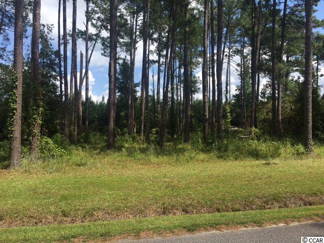 Tbd Graham Road Conway, SC 29526 - Photo 1 of 3 Gallery Image 1