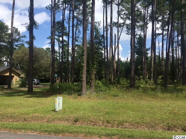 Tbd Graham Road Conway, SC 29526 - Photo 2 of 3 Gallery Image 2