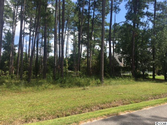 Tbd Graham Road Conway, SC 29526 - Photo 3 of 3 Gallery Image 3