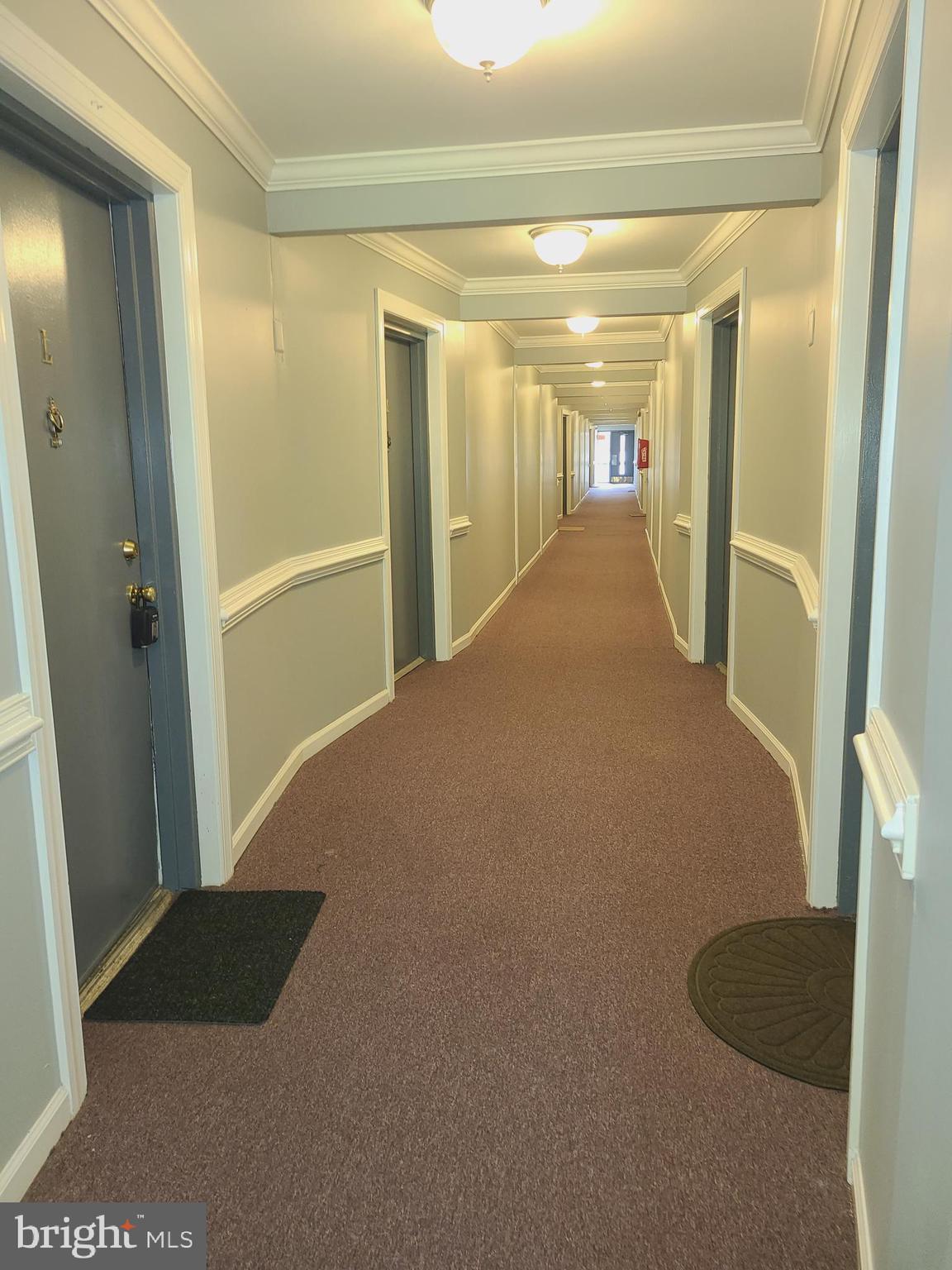 5820 Royal Ridge Drive, Unit L Springfield, VA 22152 - Photo 15 of 24