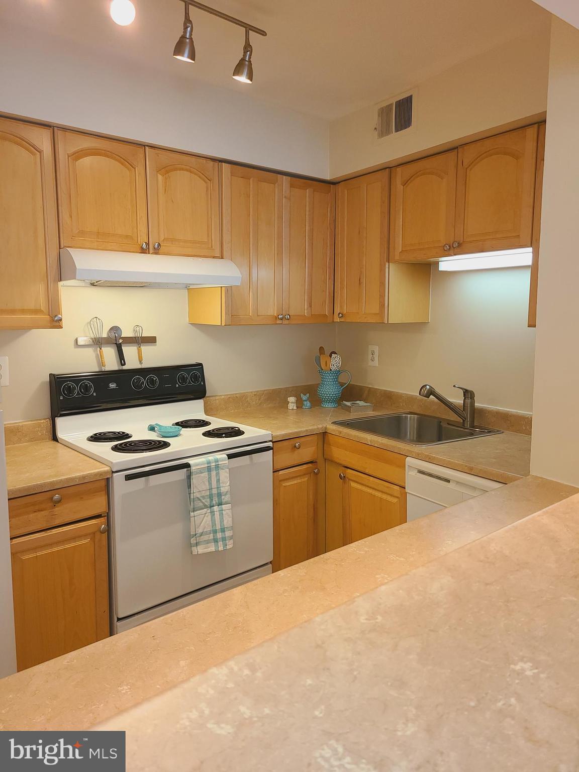 5820 Royal Ridge Drive, Unit L Springfield, VA 22152 - Photo 4 of 24