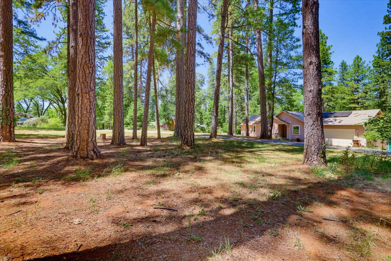 11575 Shockley Road Grass Valley, CA 95945 - Photo 77 of 92