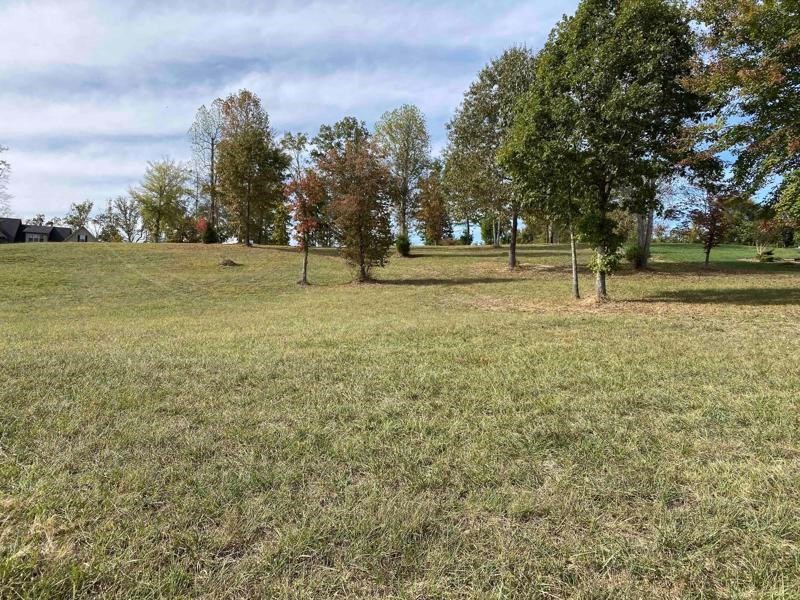 412 Waterfront Way Spring City, TN 37381 - Photo 16 of 17