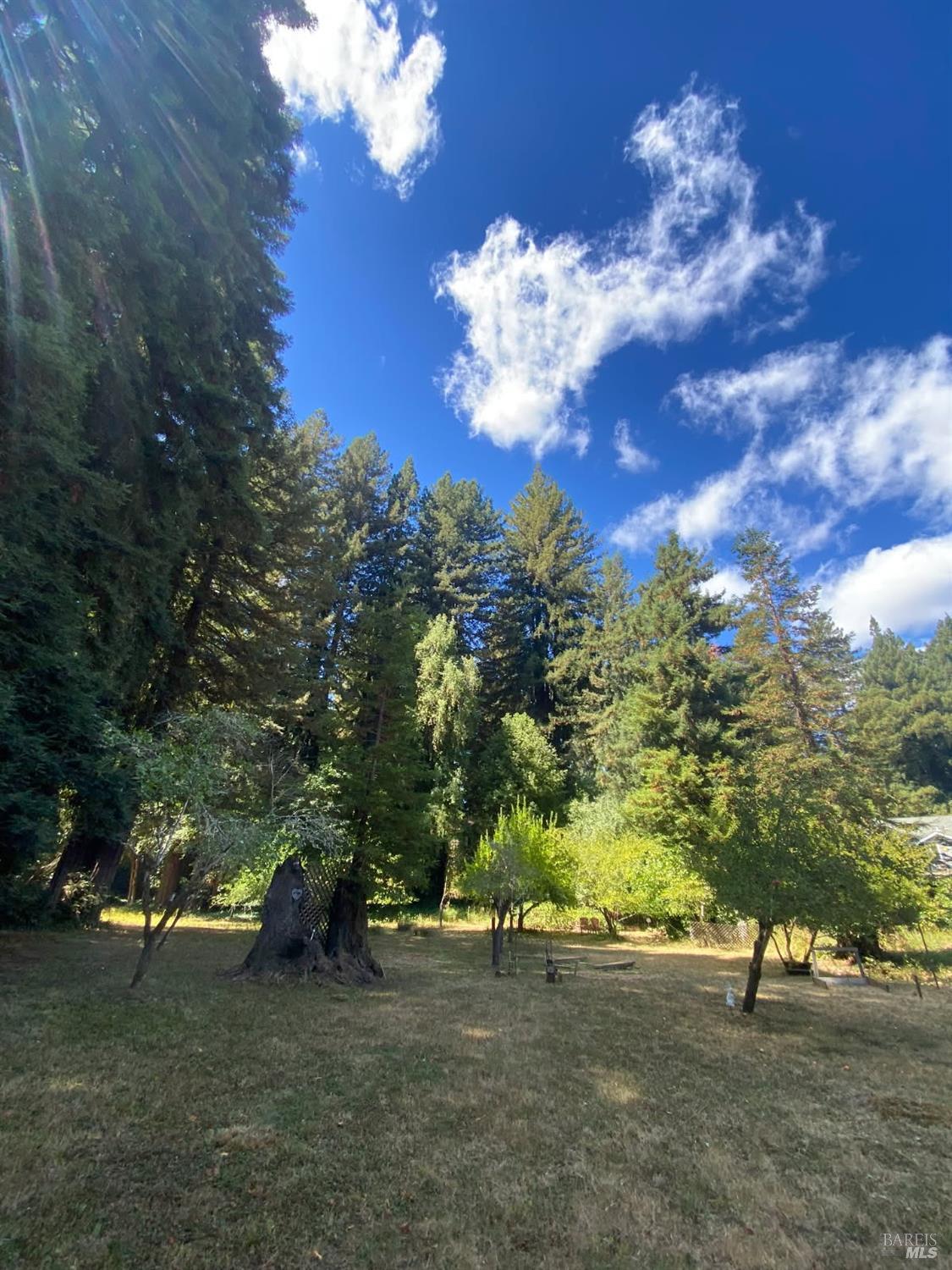 15900 Drake Road Guerneville, CA 95446 - Photo 1 of 9 a view of a yard with a tree