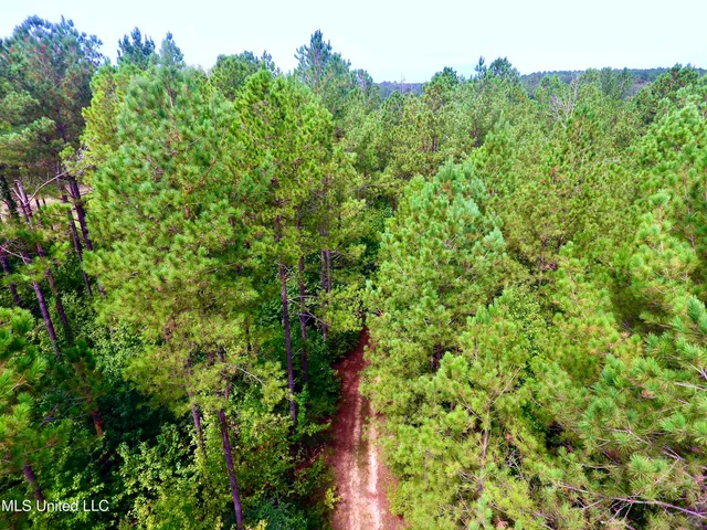 $89,000 | 0 Southeast Gill Drive, Brookhaven, MS 39601