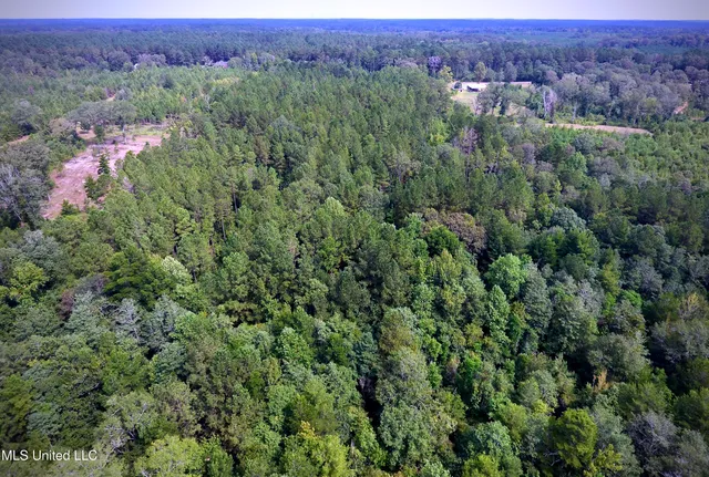 $89,000 | 0 Southeast Gill Drive, Brookhaven, MS 39601