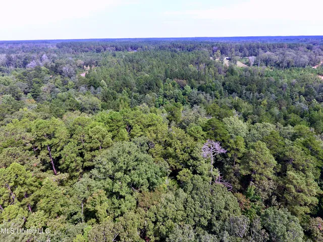 $89,000 | 0 Southeast Gill Drive, Brookhaven, MS 39601