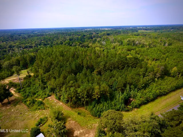 $89,000 | 0 Southeast Gill Drive, Brookhaven, MS 39601