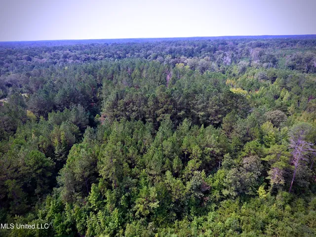 $89,000 | 0 Southeast Gill Drive, Brookhaven, MS 39601